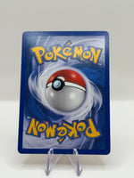 MALOSSE DE TEAM MAGMA - photo 2