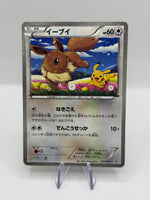 EVOLI PROMO - photo 1