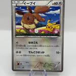 EVOLI PROMO