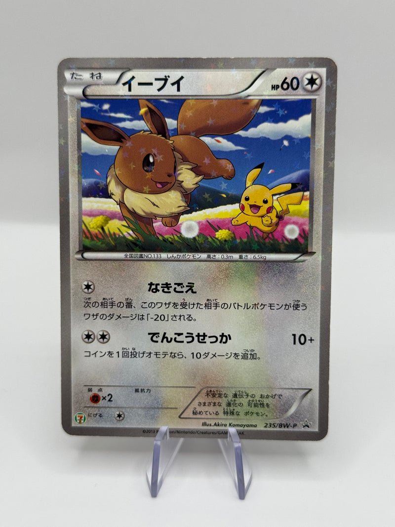 EVOLI PROMO